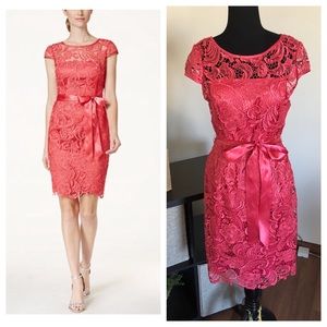 Adrianna Papell Pink Lace Mini Dress